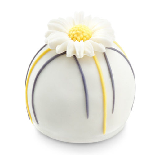 Order Cake Balls for Delivery or Shipping - Austin Cake Ball